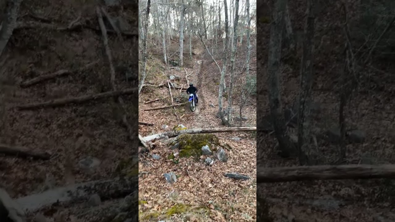 2004 WR250F HILLCLIMB!!!! #yamaha #wr250f #dualsport