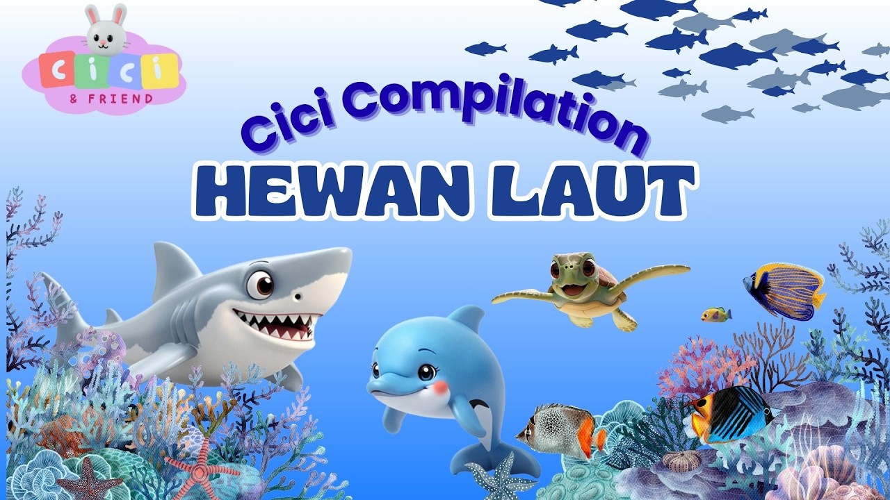 Cici Song Compilation Part 2 | Hewan Laut 🌊