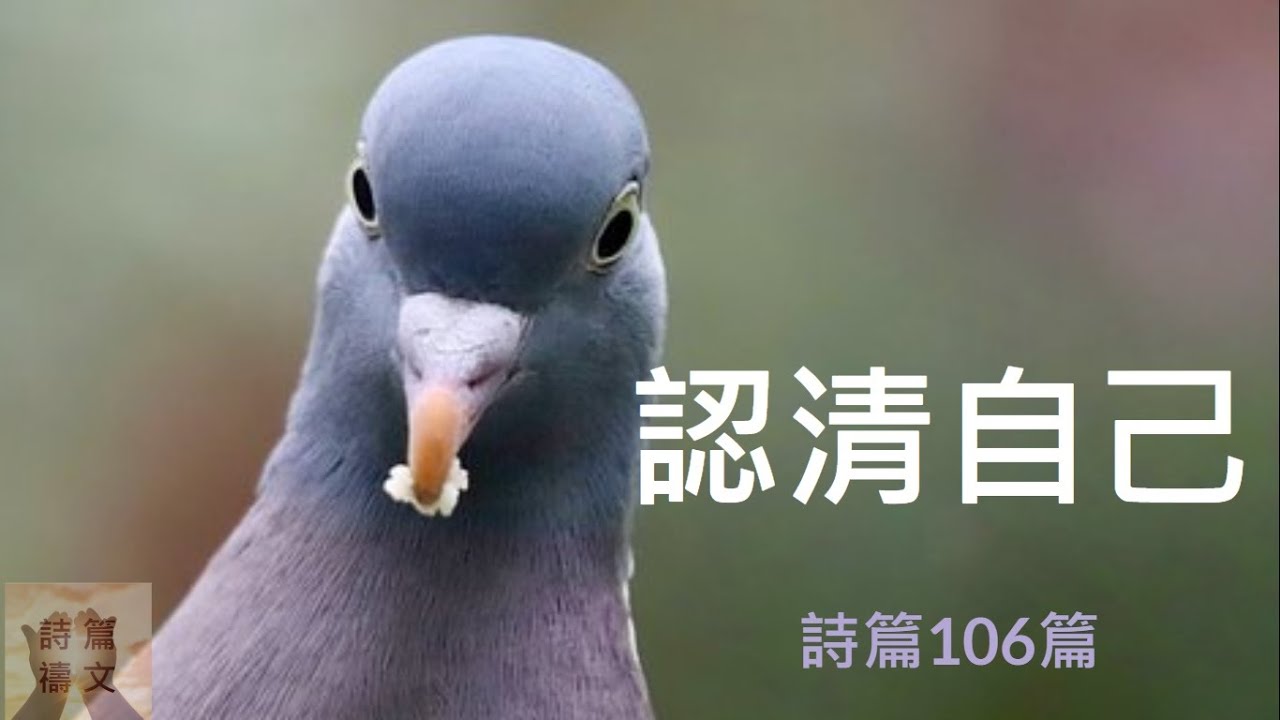 詩篇106篇-認清自己
