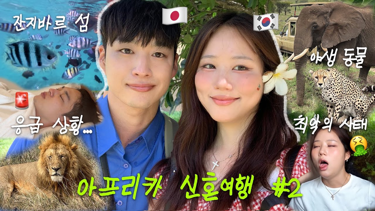 잔지바르 섬으로 이동 후 죽다 살아난 아프리카,,😵1박에 400만원짜리 초호화 신혼여행💸스노쿨링 돌고래 만나기🐬싸움 안난게 다행인 vlog 