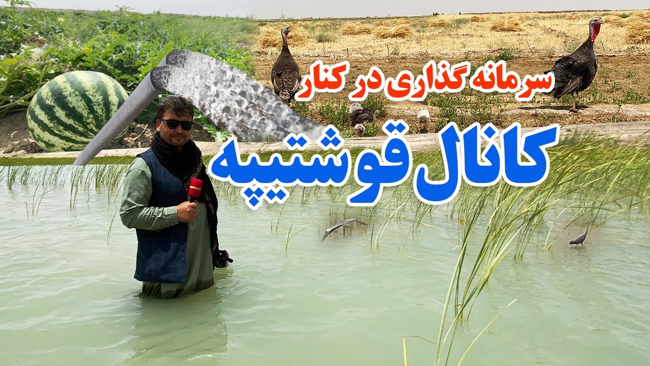 گزارش نظری، سرمایه گذاری در کنار کانال قوشتیپه،حاصلات زراعت،مهمانی،آب کانال قوشتیپهafghan top