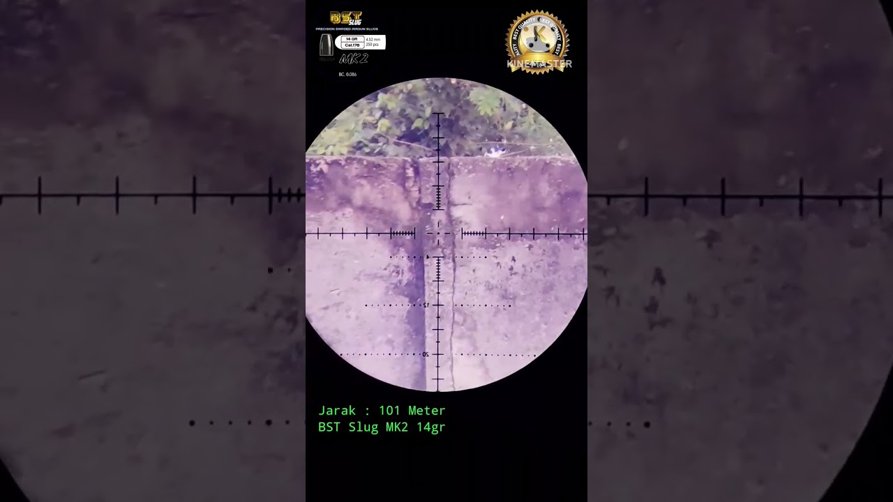 Akurasi Jarak 100 Meter || BST Slug Mk2 14 Grain @ZONAHUNTING