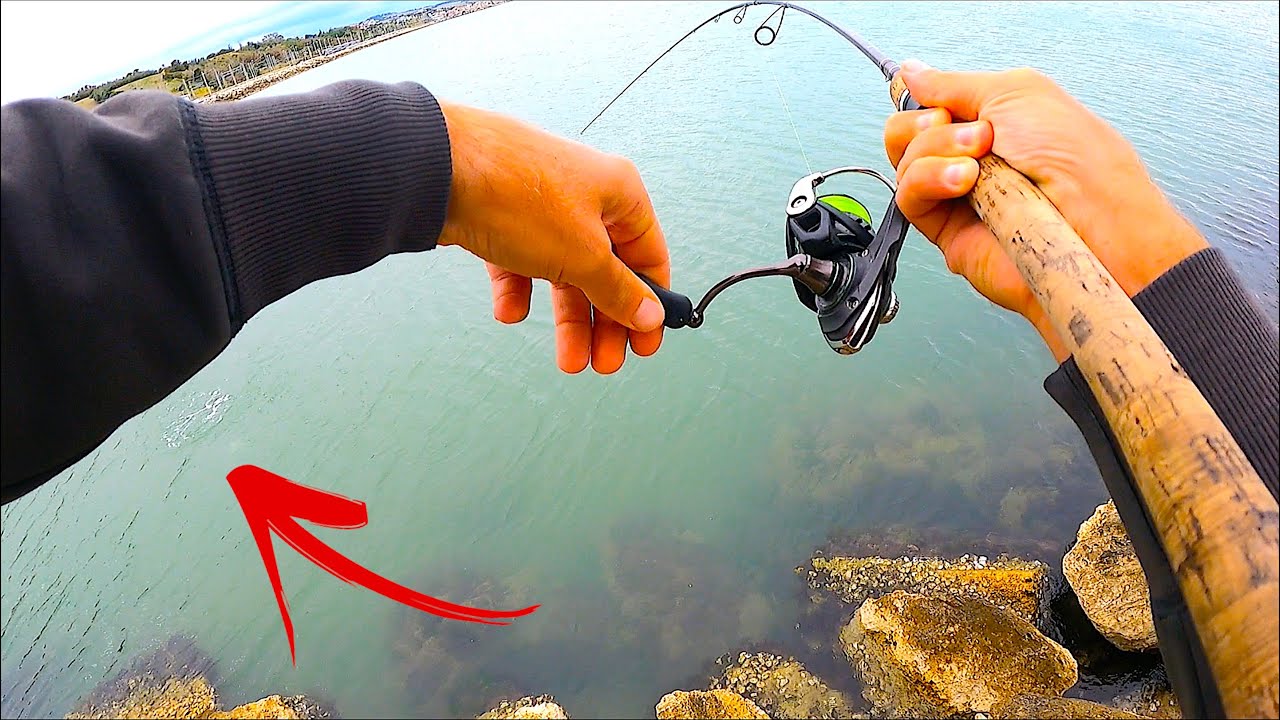 QUANTO &Egrave; DIVERTENTE? Spinning Topwater ai Migliori Predatori di Mare! Il Fascino della Pesca da Riva