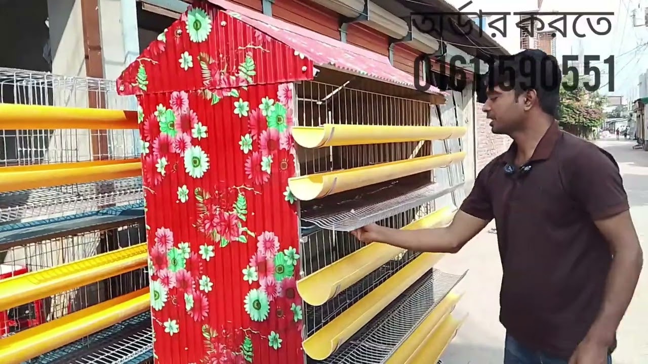 লেয়ার মুরগির খাঁচা, কোয়েল পাখির খাঁচা, #incubator #lair #koilokal #machine #viral #trending 