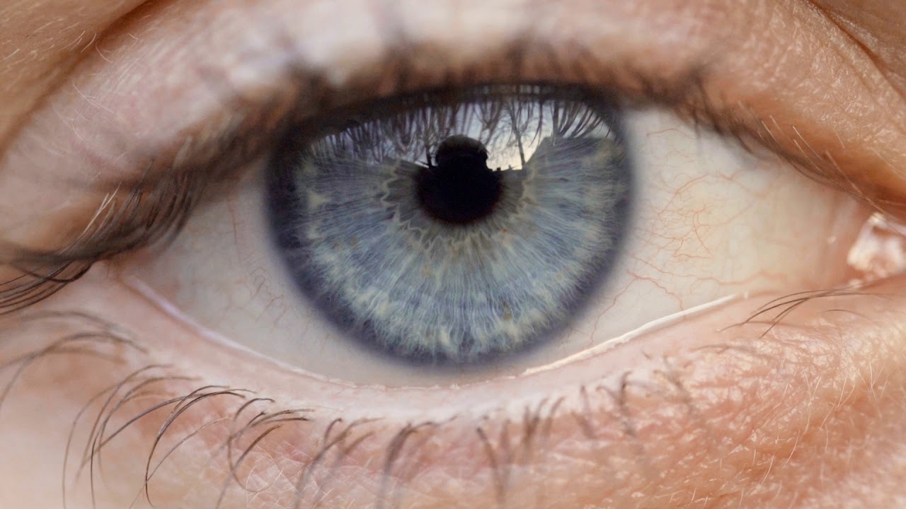 Stunning Macro Clip of a Blue Eye - Close-up Shot