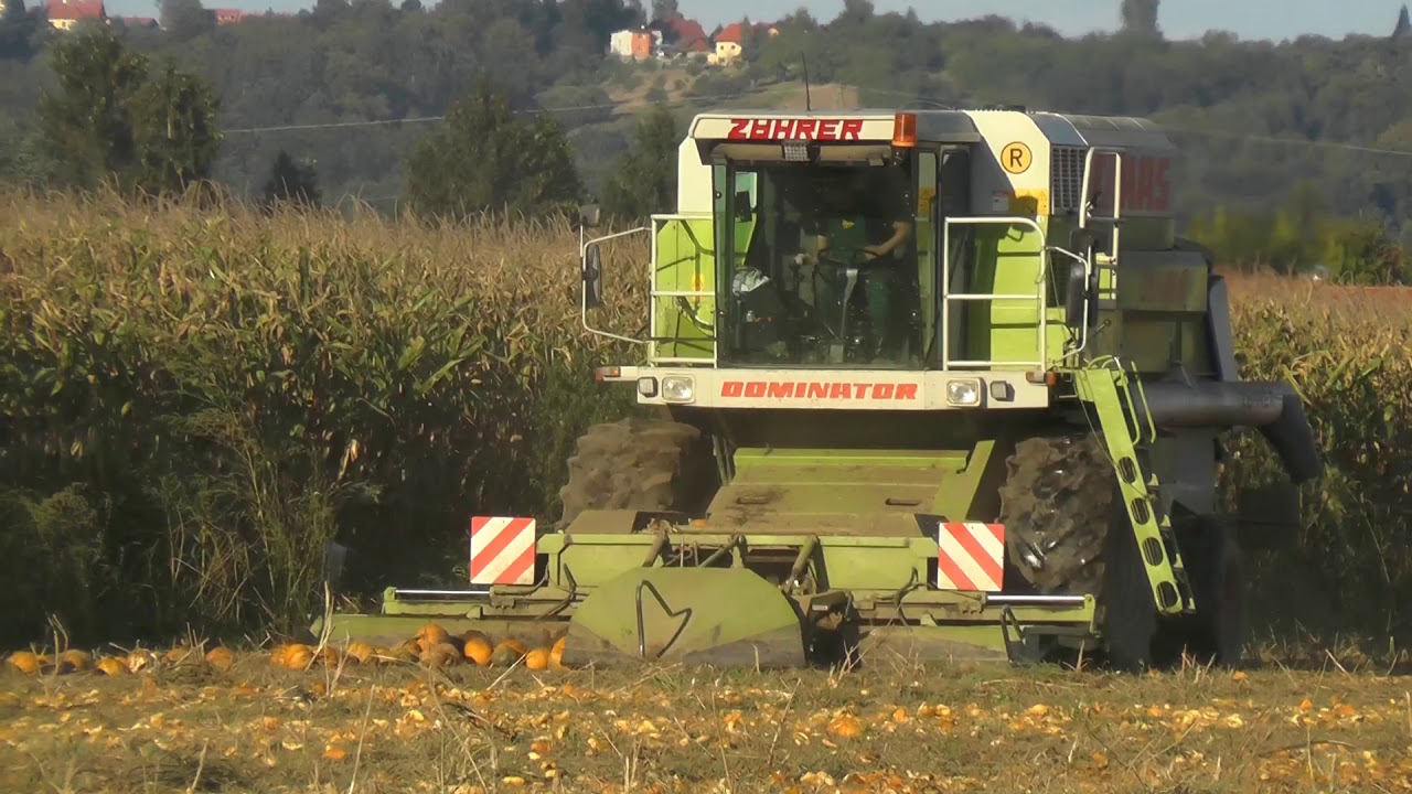 Ein Claas Dominator  ist Umgebaut worden Speziell für Kürbis Ernten Putzen im Einsatz  bei einen Bau