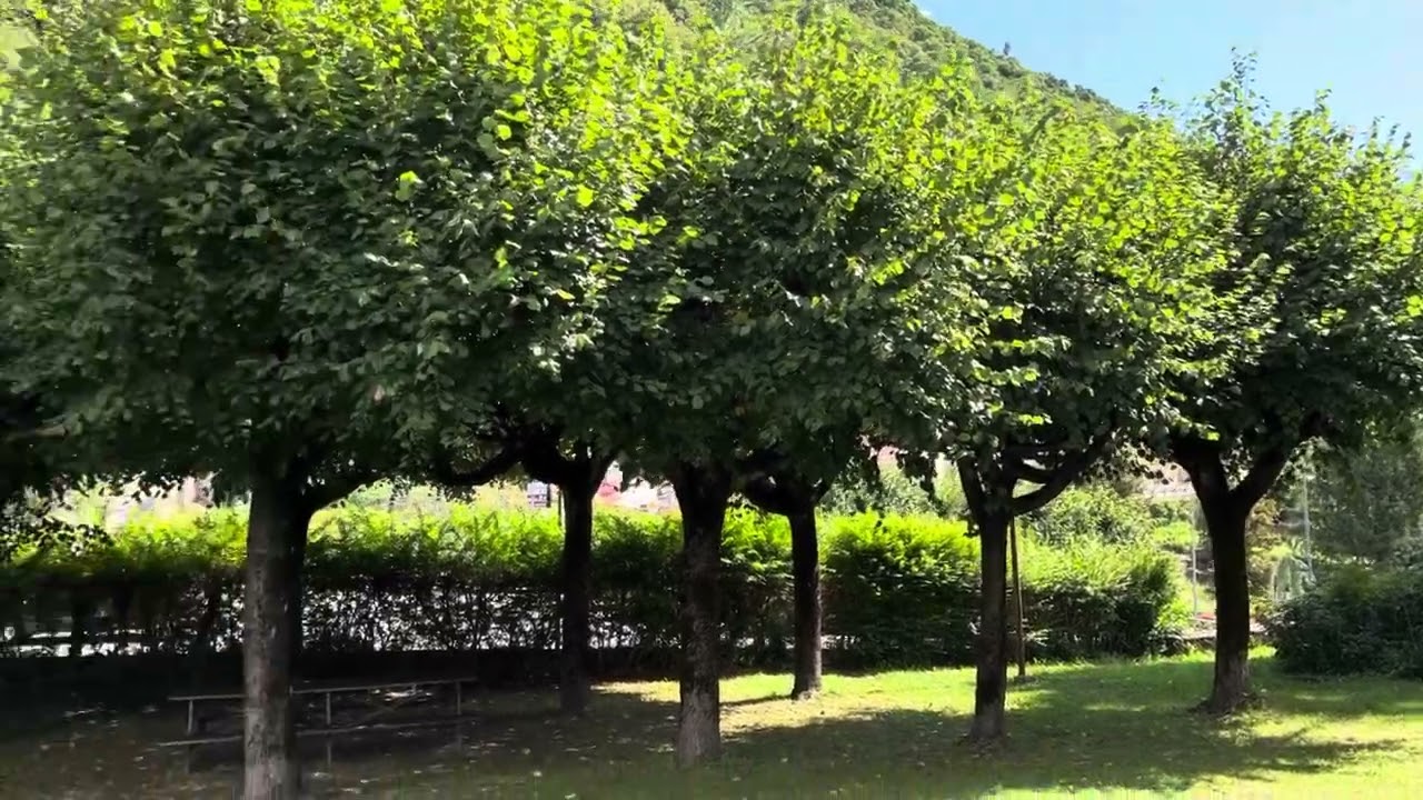 Un giro domenicale a Vendrogno