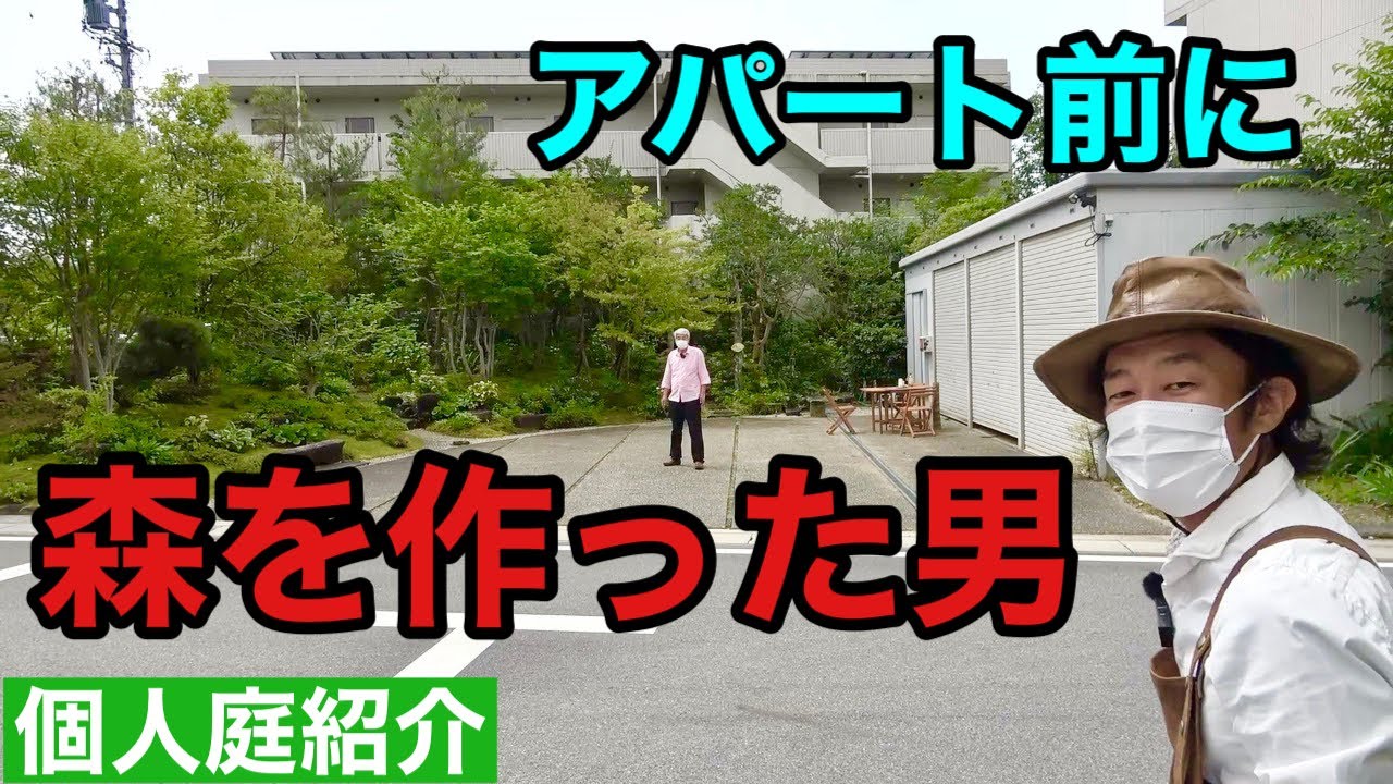 【逆の発想】植物を小さく育てて森を作ってしまった個人庭紹介します　【カーメン君】【園芸】【ガーデニング】【個人庭】【築山】