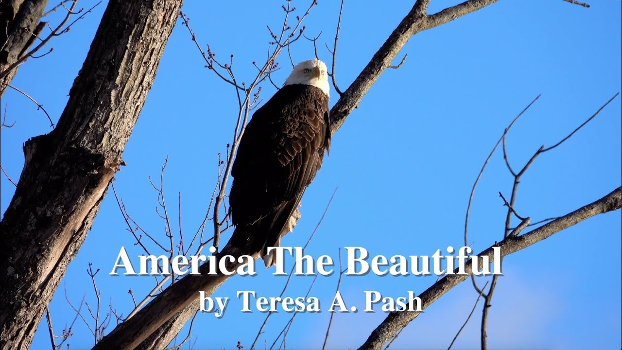 America The Beautiful (Sing-along) by Teresa A. Pash