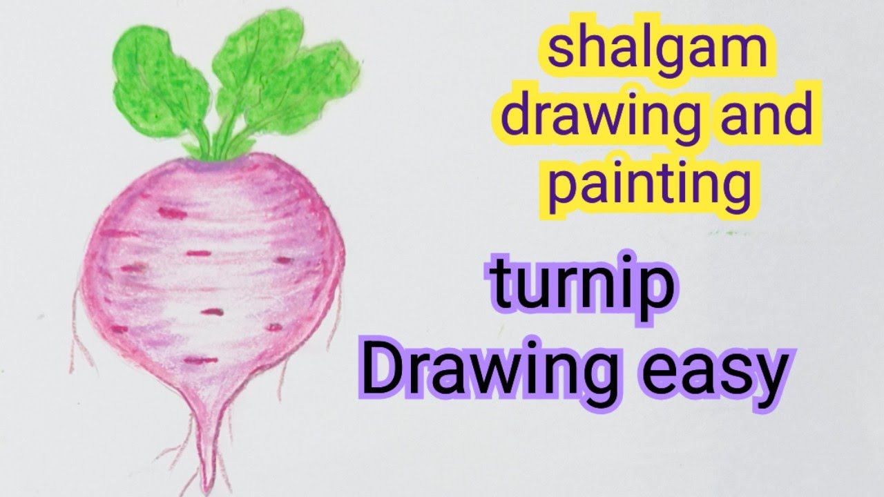 Shalgam Drawing/Shalgam ka chitra/Turnip Drawing Easy