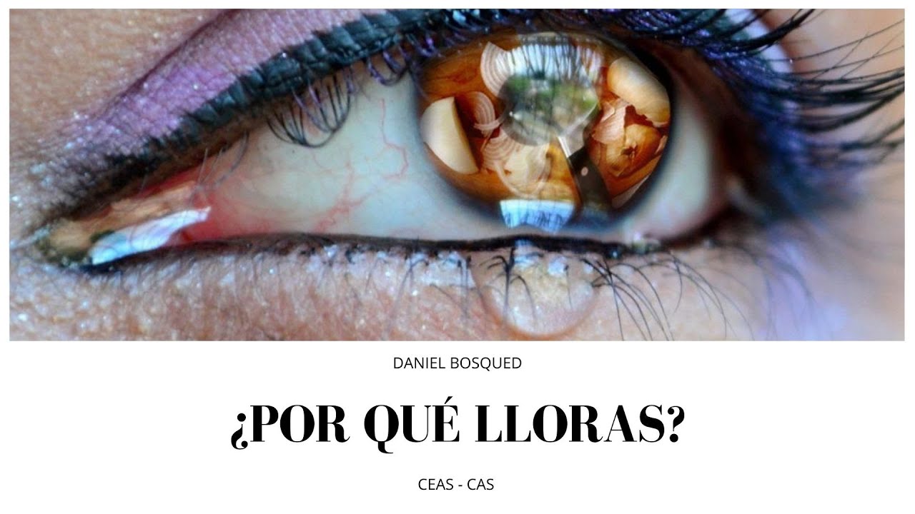 Daniel Bosqued - ¿Por qué lloras?