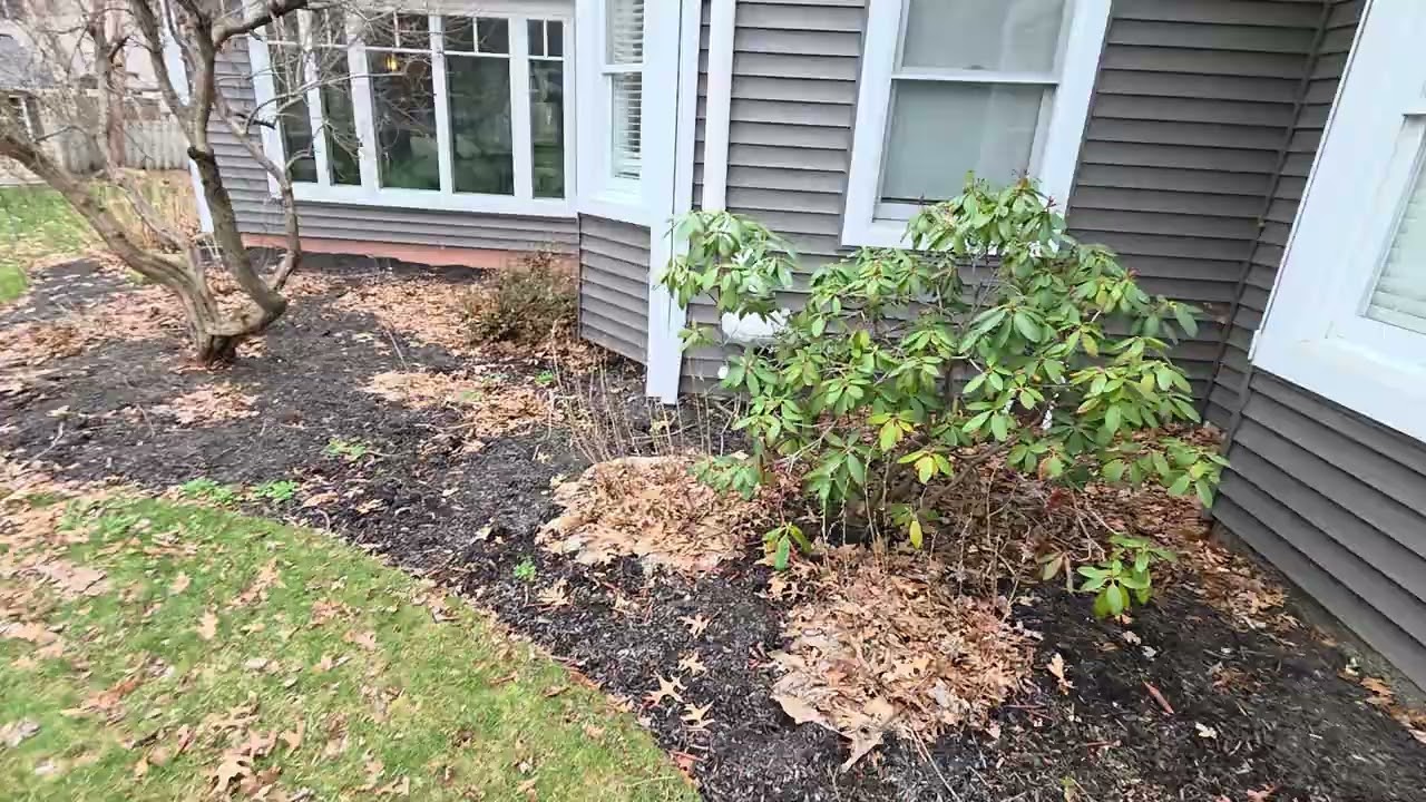 McCourt-customer video
