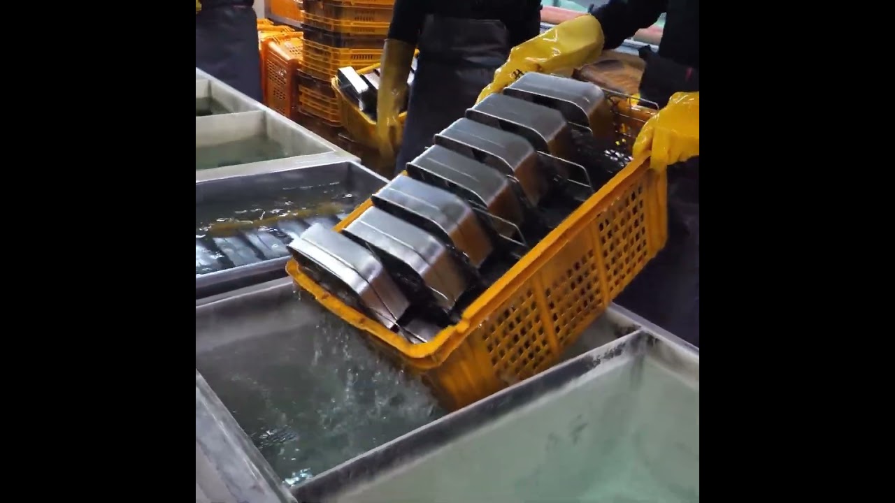 Inside a Box Factory: How Household Storage Box is Mass Produced