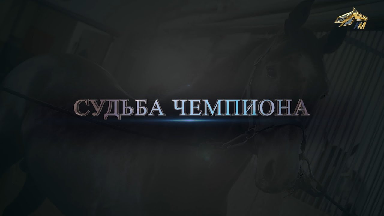 PRO_Лошадей. Манускрипт. 4 июня 2023 года. 17:15