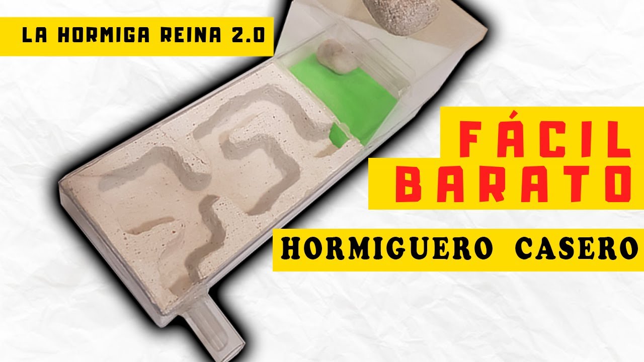 Hormiguero casero de yeso - Fácil y Barato ^_^ (( 2 de 2 ))