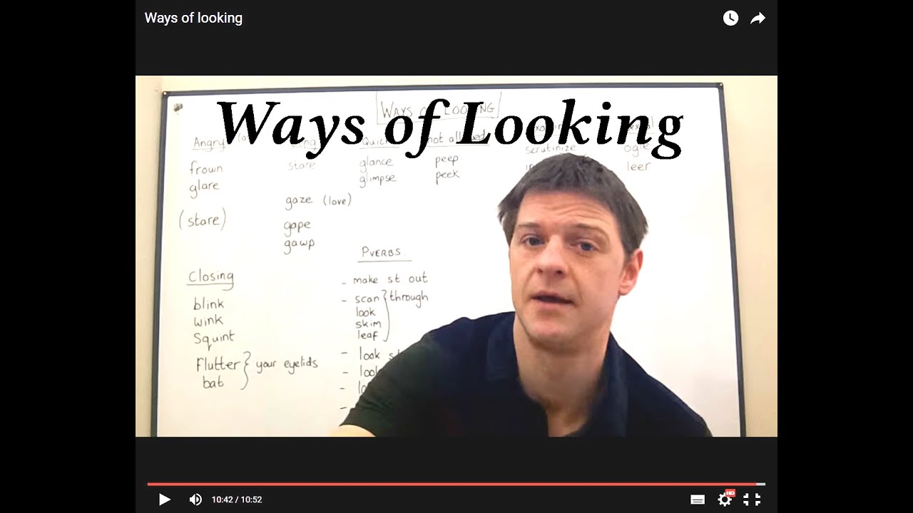 Vocabulary WAYS OF LOOKING (Lesson 25)