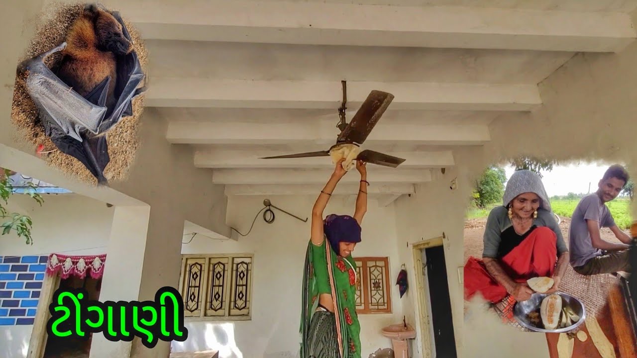 Pankhe | Desi Chibhdu  | #village | JSK Life #87