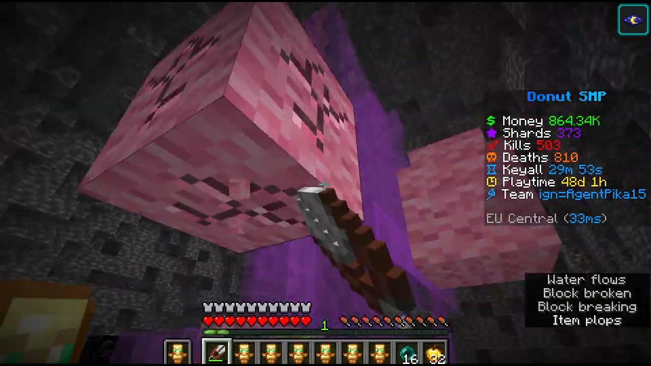 i found my first basedonut smp