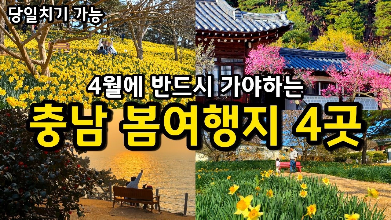당일치기 가능한 충남 봄꽃 여행지 4곳 (최신정보) / 국내여행 가볼만한곳 축제정보