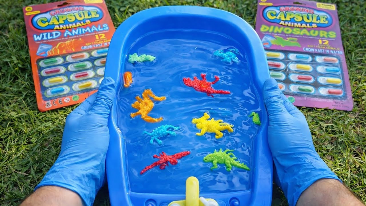 ASMR Satisfying Dinosaur Capsule 🦖 Water Hatch & Grow Toy | Soaking Sponge Dino Eggs #dinosaur 