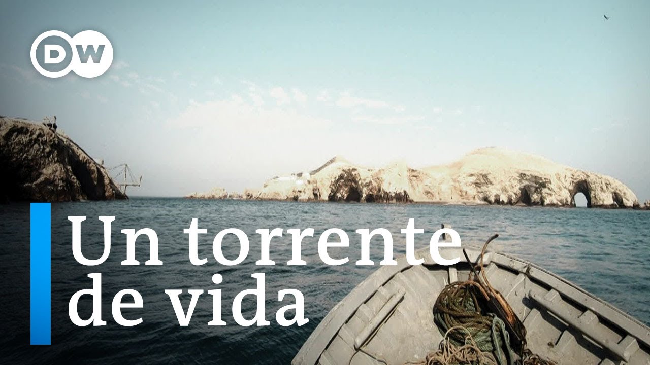 Por qué es tan importante la corriente de Humboldt