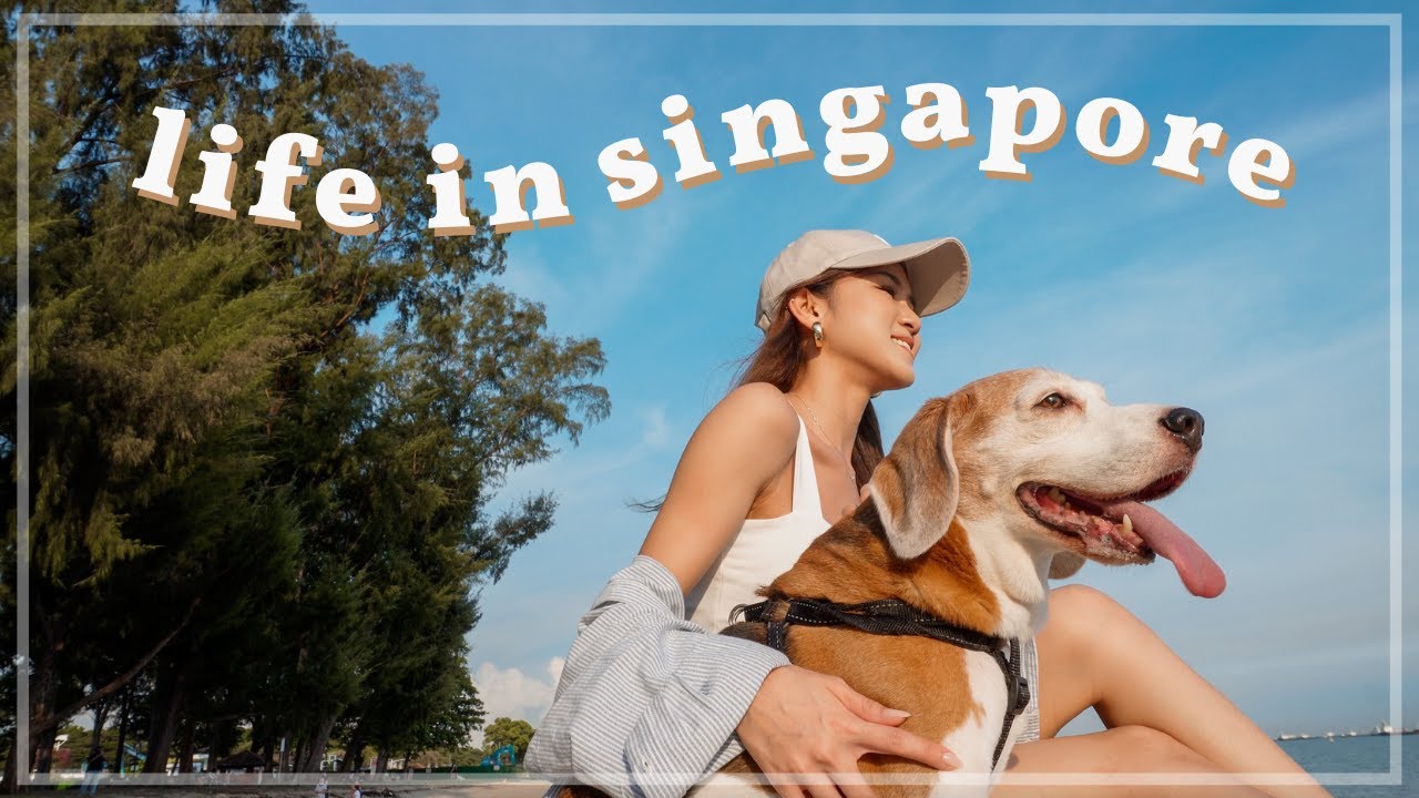 Weekly Vlog: Out of office for a week!⚠️