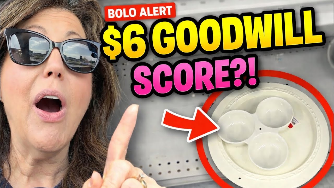 Massive Thrifting BOLO- Nora Fleming at Goodwill!