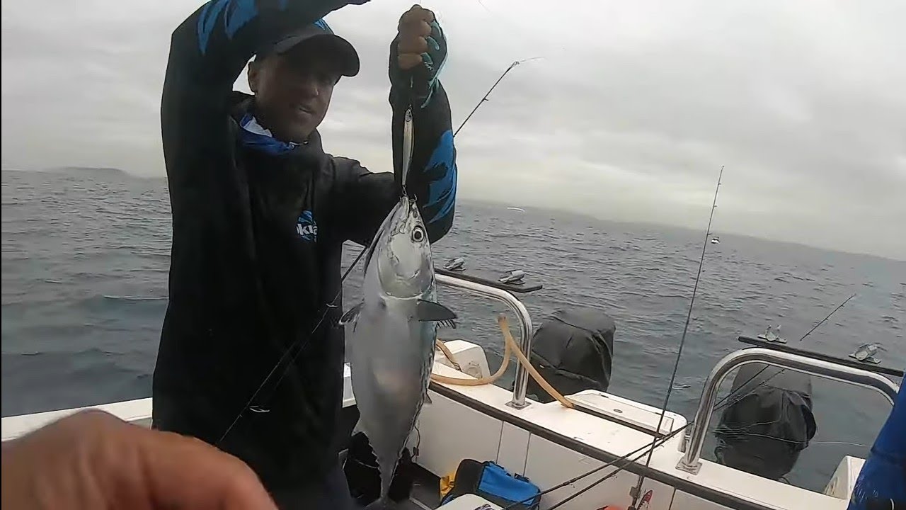 TUNA AND BONITO Wild off Durban - Fishing The Halco Max 110
