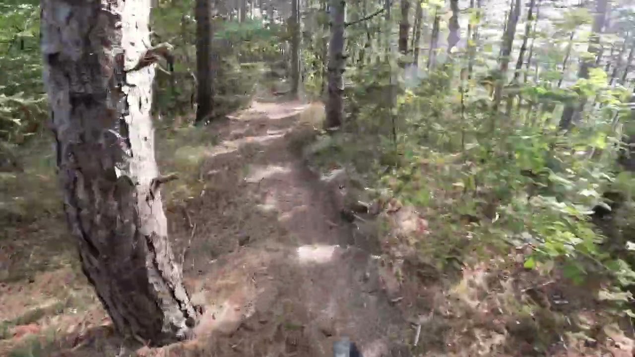Ca' Budrio- Zardo' Trail 19/10/25