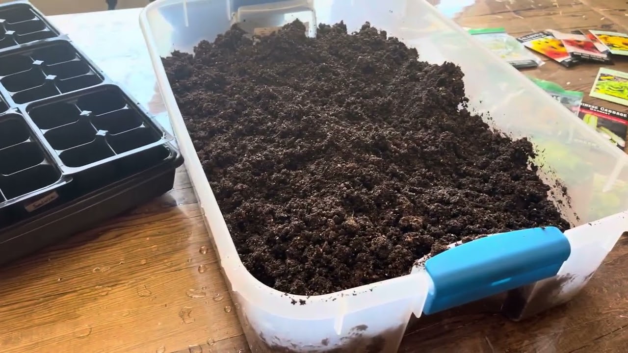 Spring vegetable￼ seed starting.