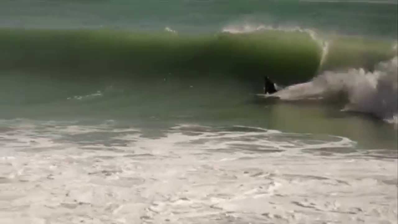 Surf Mediterraneo - Winter 2015 part II (BackYard Edit)