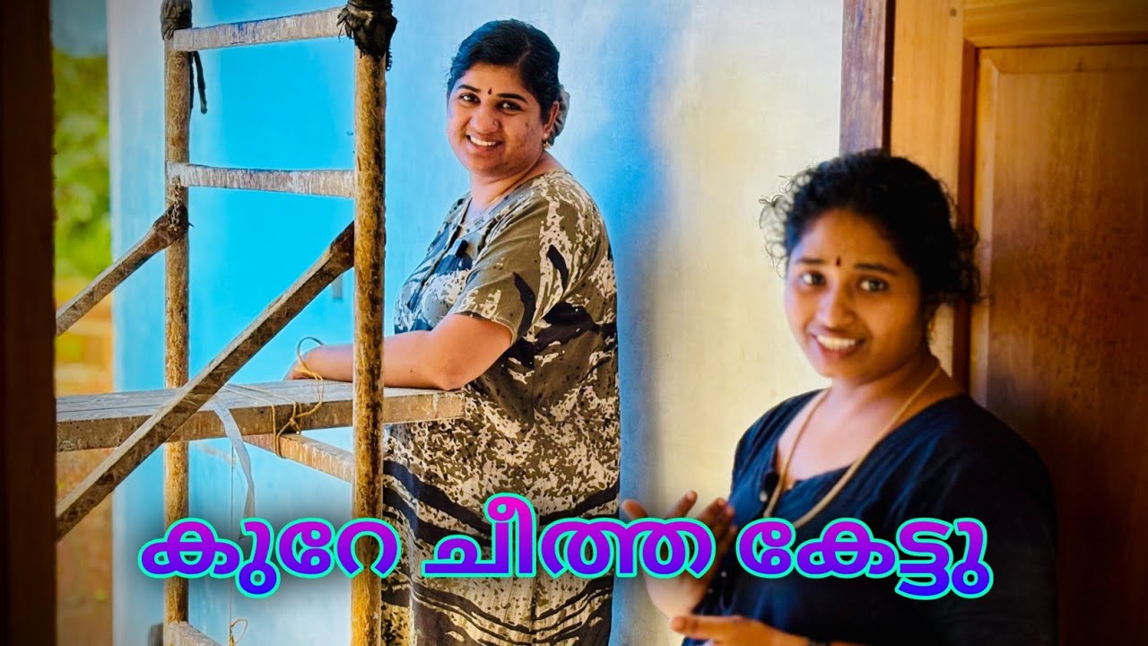 എന്താണവരുടെ നില ഭർത്താവില്ലതായപ്പോ ഗമ കൂടിപ്പോയി 😔