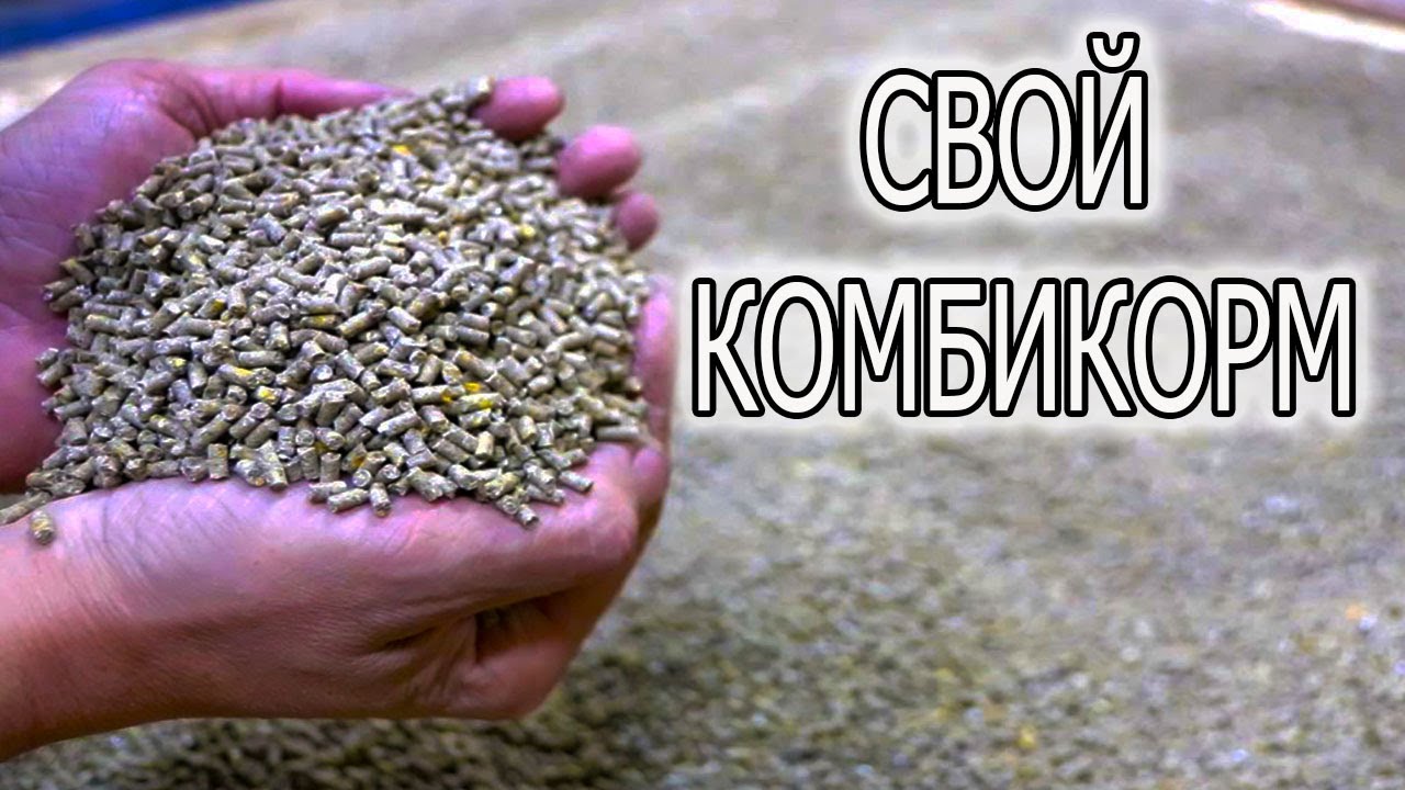 КАК СДЕЛАТЬ ДОМАШНИЙ КОМБИКОРМ ДЛЯ БРОЙЛЕРОВ. 42 ДНЯ ЭКСПЕРИМЕНТ !