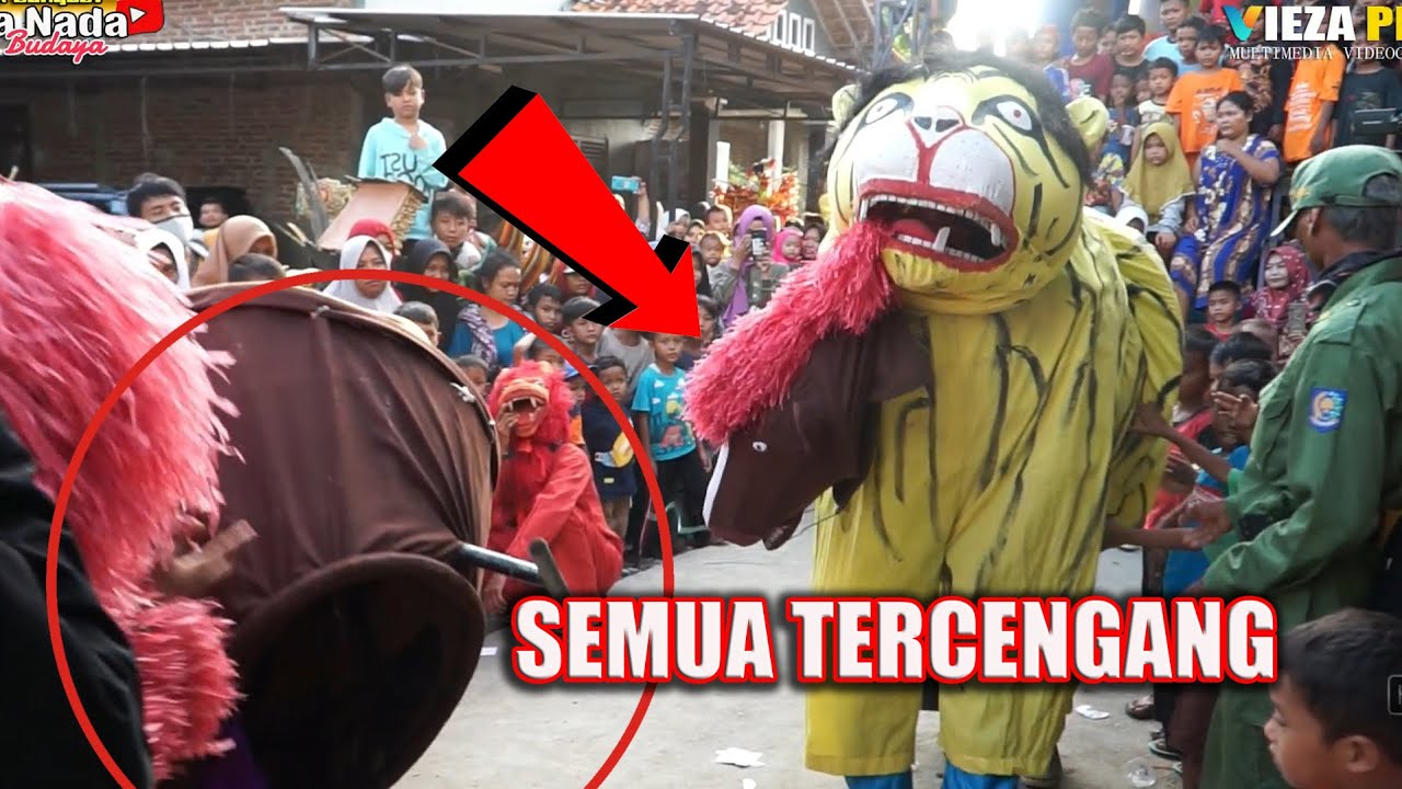 KUDA GUGUURR VS MACAN SI RAJA HUTAN ~ MACAN TARUNGAN BUROK DANGDUT CINTA NADA BUDAYA