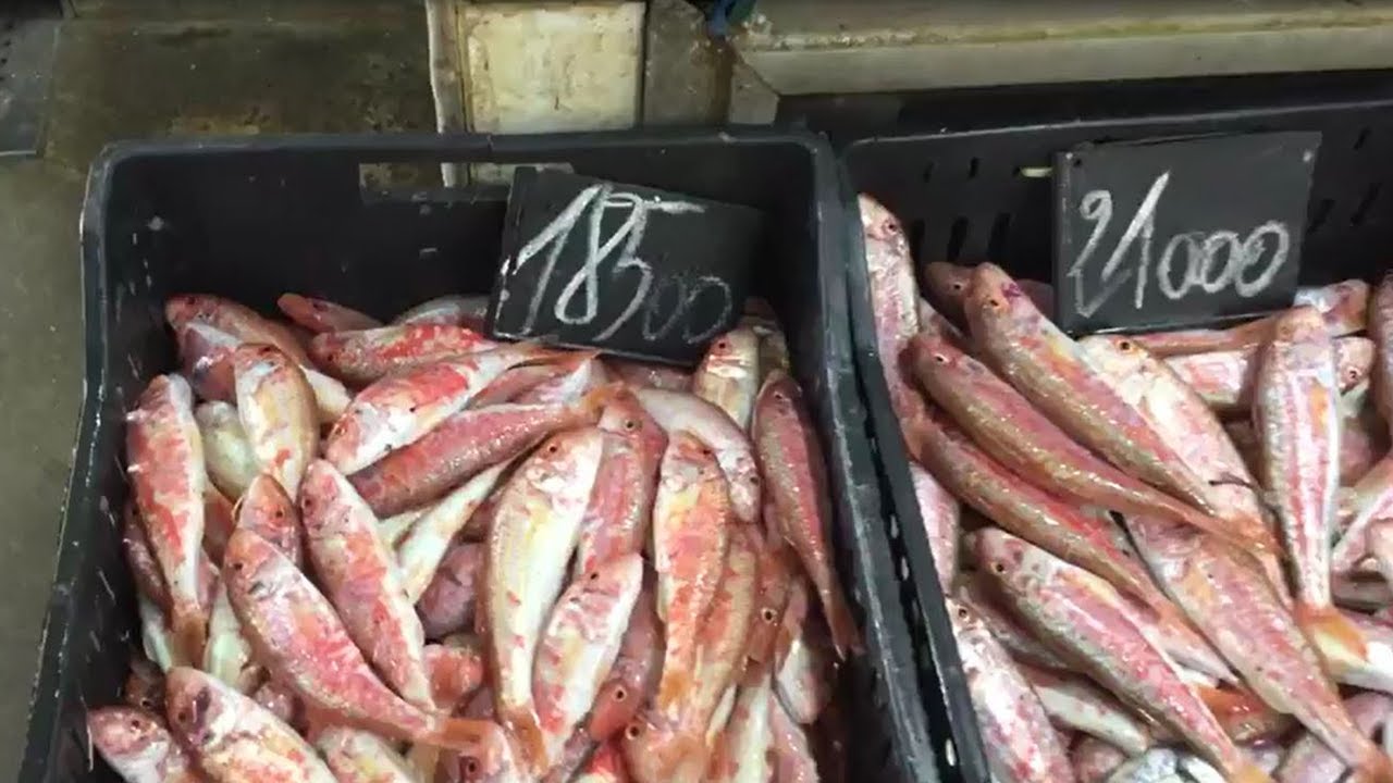 Marché au Poissons de Mahdida - سوق السمك المهدية