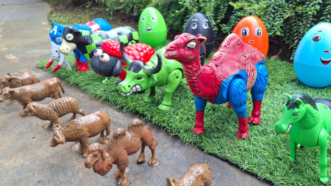 Sapi, Gajah, Kerbau, Domba, Kuda, Unta Melahirkan | Sapi Mandi Lumpur