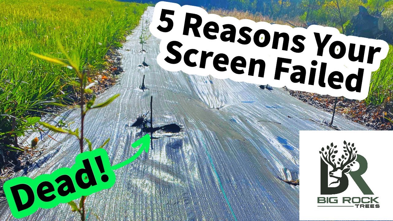 5 Reasons Your Deer Screen FAILED