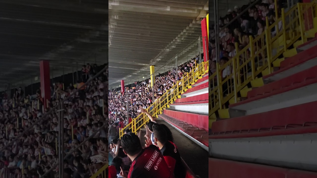 La fiel barra 51 no paran de cantar
