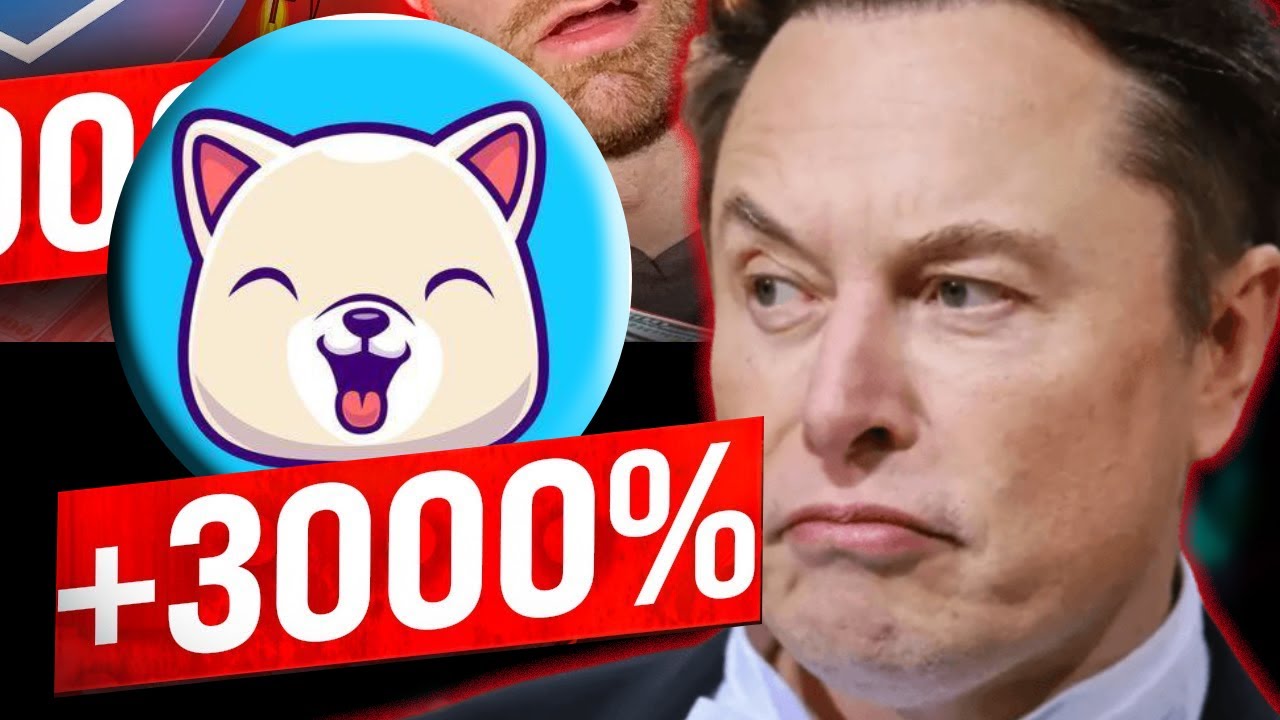 KISHU MASSIVE UPDATES THAT WILL...?? - KISHU PRICE PREDICTION FOR 2024 & FORWARD