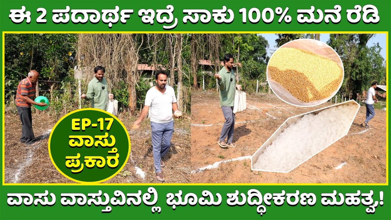 How To Remove Or Clean Negative Energy From Land And Home According To Vastu