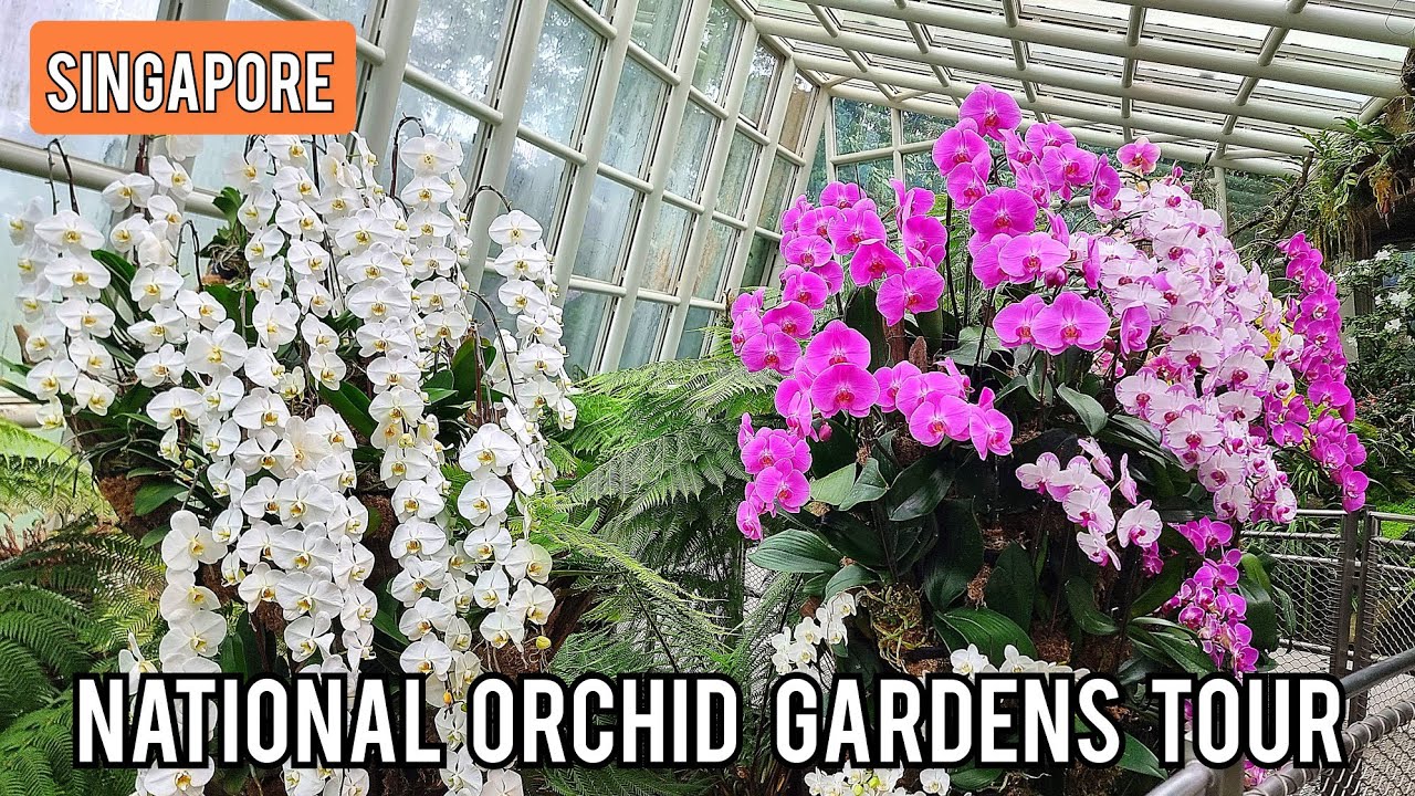 National Orchid Garden Full Tour |  UNESCO World Heritage Site