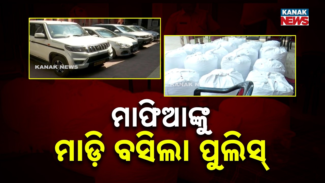 Major Ganja Bust in Rourkela: 502kg Cannabis Worth ₹80 Lakh Seized, Interstate Mafia Arrested
