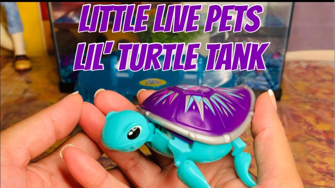 LITTLE LIVES PETS LIL&rsquo; TURTLE TANK | UNBOXING AND TOY REVIEW - CT FAMILY