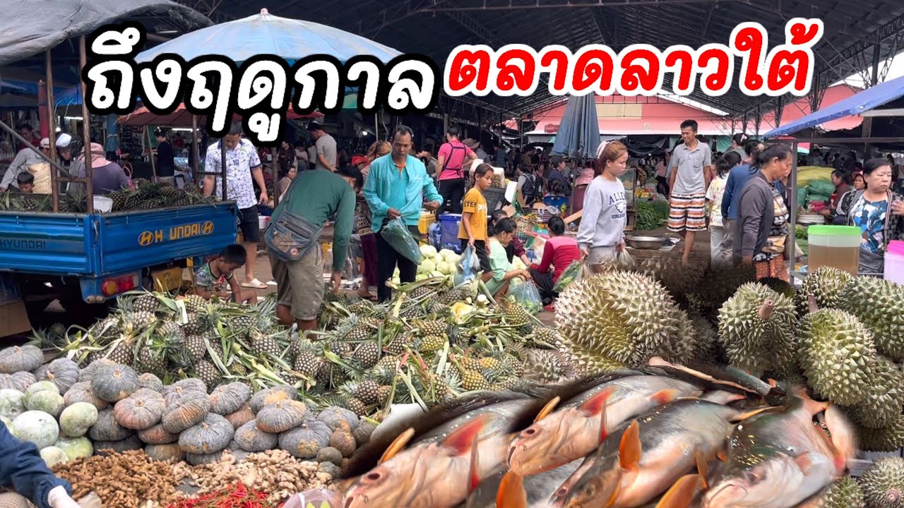 อาหารสดลุ่มแม่น้ำโขงที่ตลาดดาวเรืองเมืองปากเชแขวงจำปาสักลาวใต้มีอาหารจากธรรมชาติเยอะแยะมากมายไปหมด