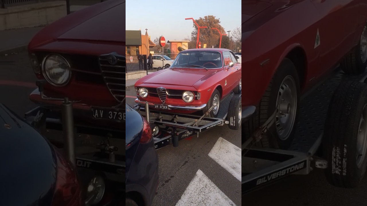 ALFA ROMEO GIULIA GT 1300 JUNIOR #short #shorts #alfaromeo #alfaromeogiulia #giulia #sprint #gt #art