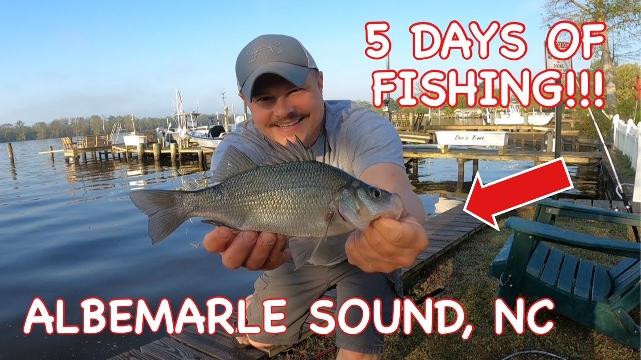 5 Days of Fishing the Albermarle Sound, North Carolina... MULTIPLE CATCHES!!! (Part 1)