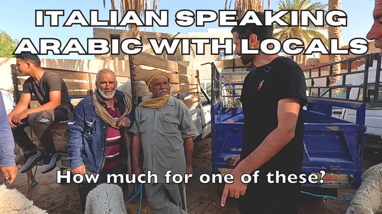 ANIMAL MARKET IN TUNISIA | SPEAKING (BROKEN) ARABIC | SAHARA DESERT TOWN | VISIT DOUZ TRAVEL GUIDE