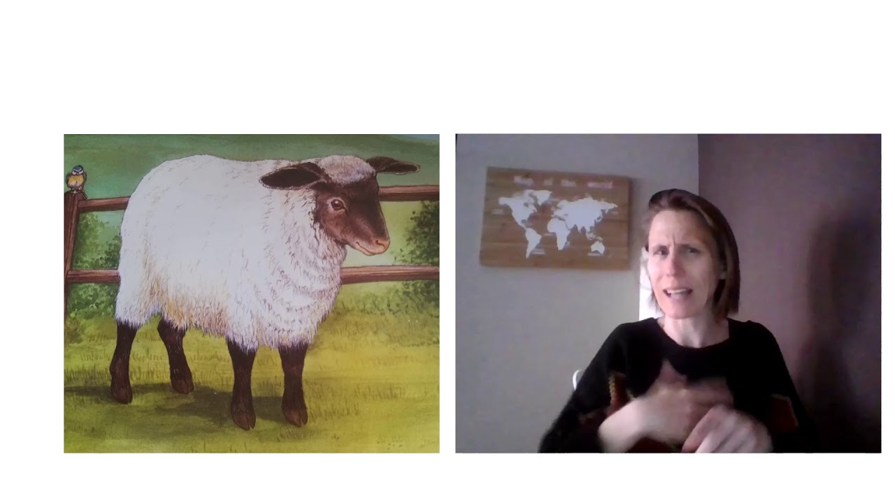 KOCA juf Gerlinde leest voor uit de dieren van de boerderij. Met Nadia in VGT