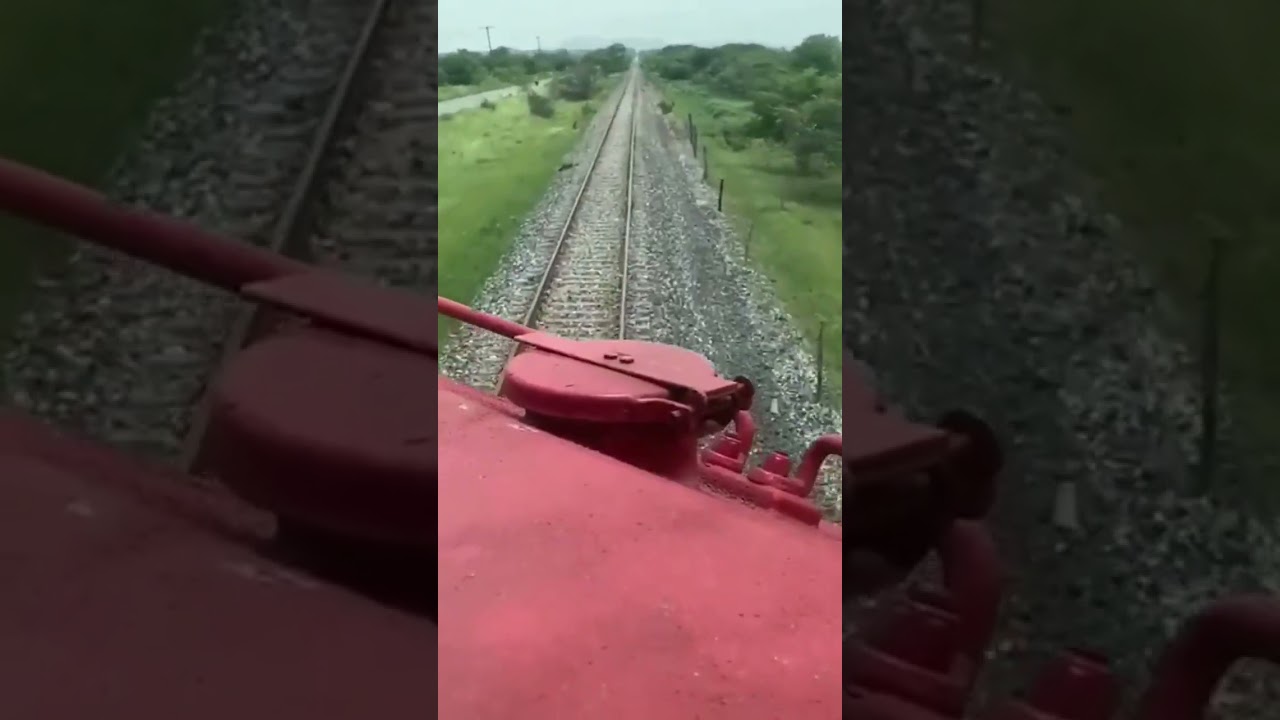 Tren se lleva vaca que estaba atravesada en las vias #shorts #mexico