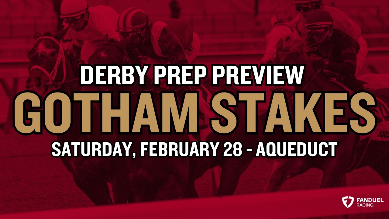 A Preview of the $300,000 Gotham Stakes (G3) at Aqueduct